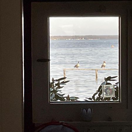 Ferienhaus Am Weidenbaum Villa Wunstorf Eksteriør bilde
