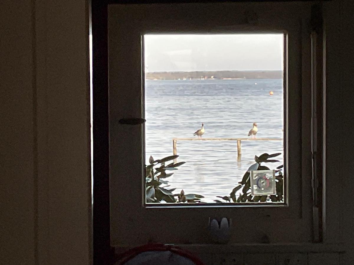 Ferienhaus Am Weidenbaum Villa Wunstorf Eksteriør bilde